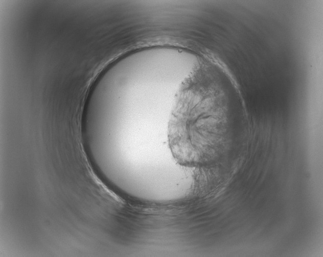 X0000068820625200605191834