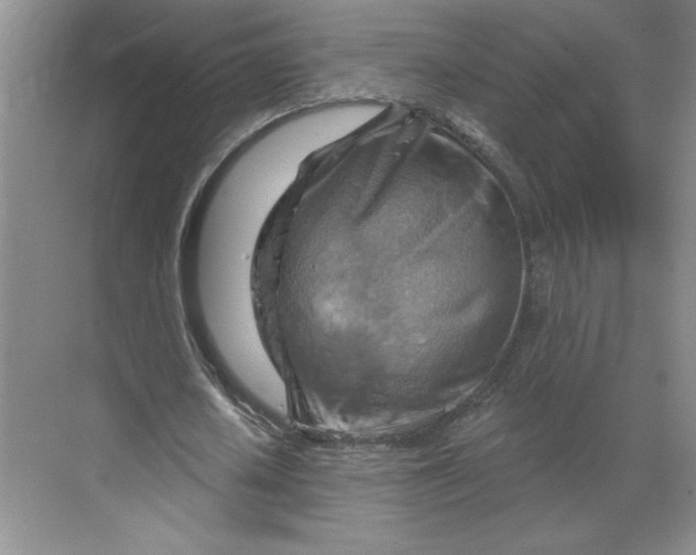 X0000068820626200605191834