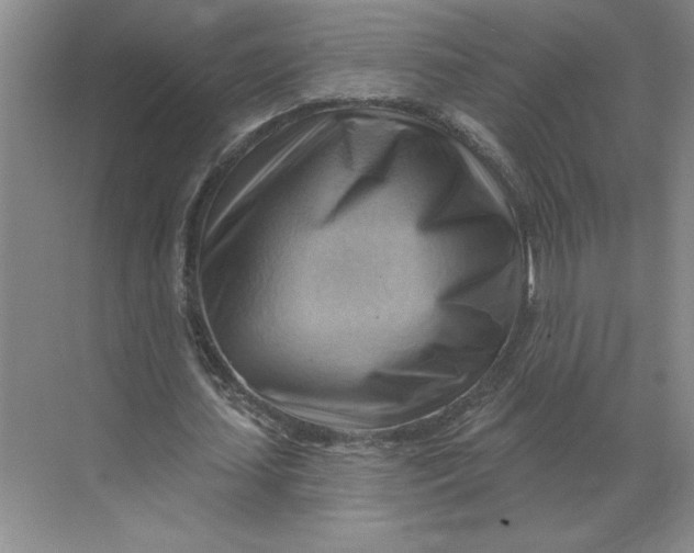 X0000068820627200605191834