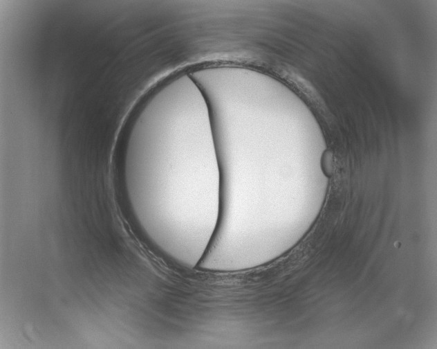 X0000068820628200605191834