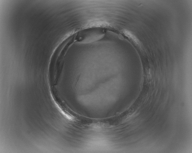 X0000068820630200605191834