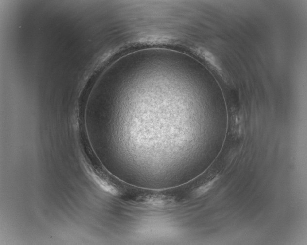 X0000068820631200605191834