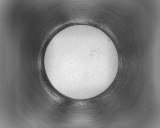 X0000068820632200605191834