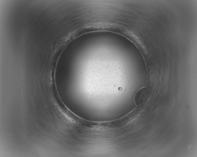 X0000068820633200605191834