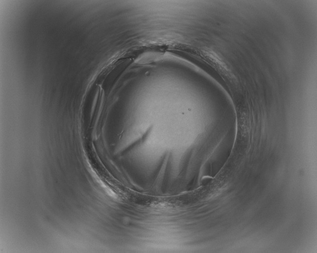 X0000068820634200605191834