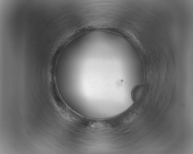 X0000068820635200605191834