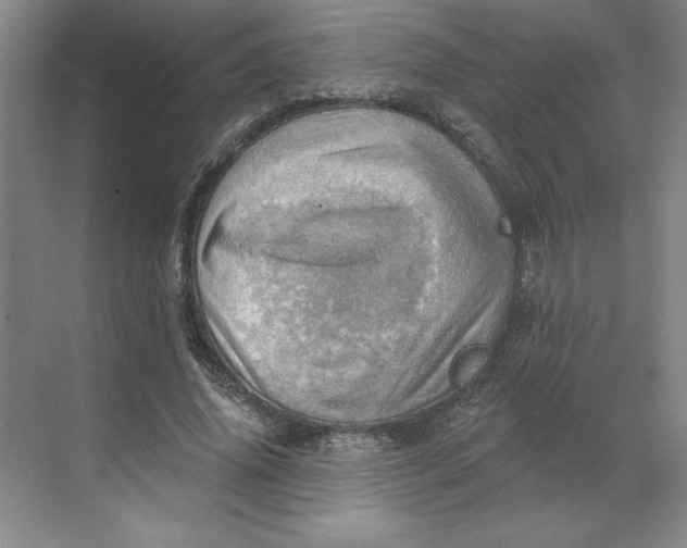 X0000068820636200605191834