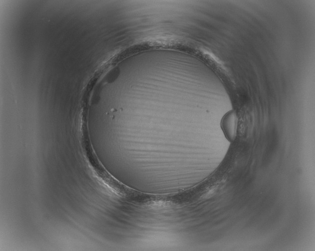 X0000068820637200605191834