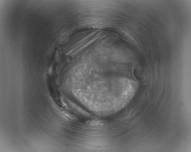 X0000068820639200605191834