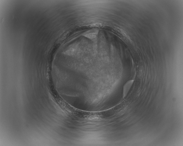 X0000068820643200605191834