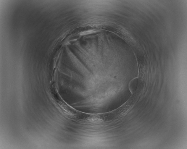 X0000068820644200605191834