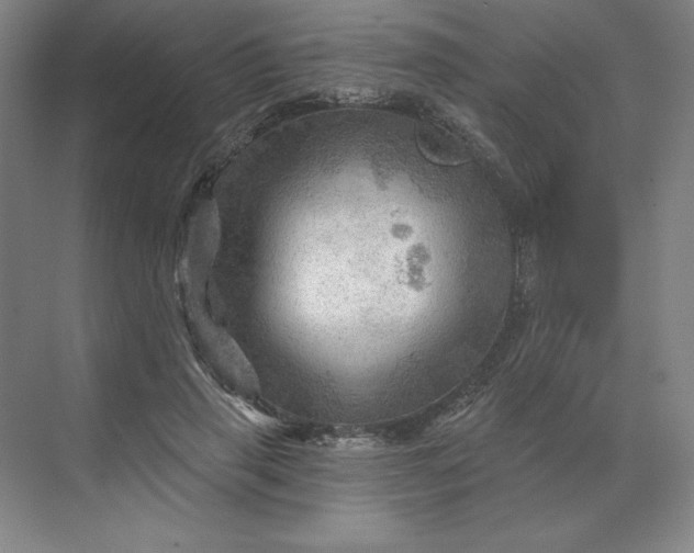 X0000068820645200605191834