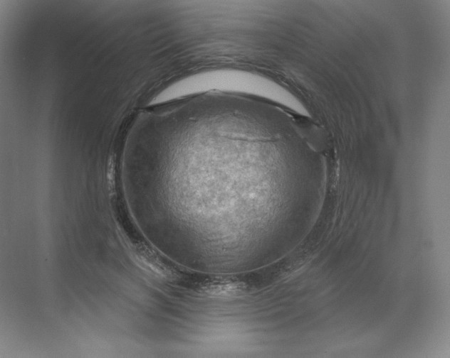 X0000068820646200605191834