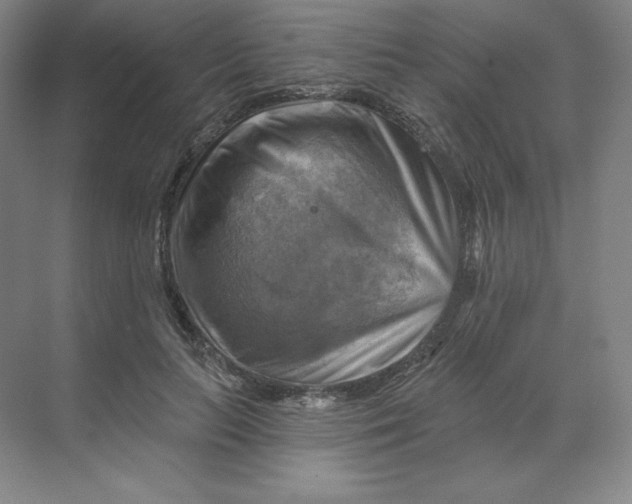 X0000068820647200605191834