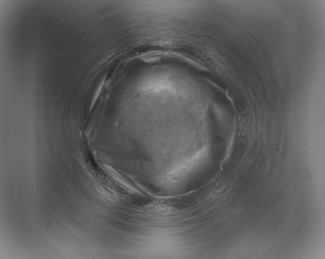 X0000068820648200605191834