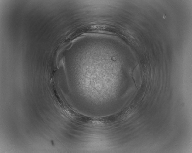 X0000068820649200605191834