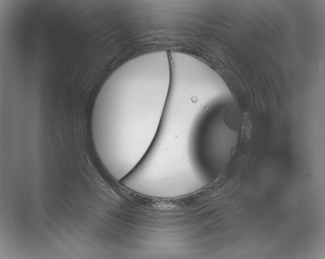 X0000068820650200605191834