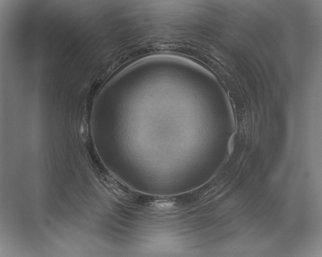 X0000068820651200605191834