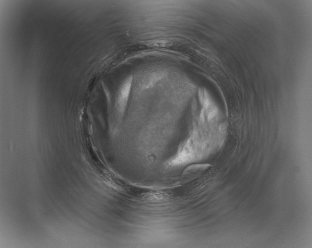 X0000068820652200605191834