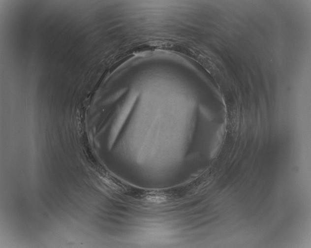 X0000068820653200605191834