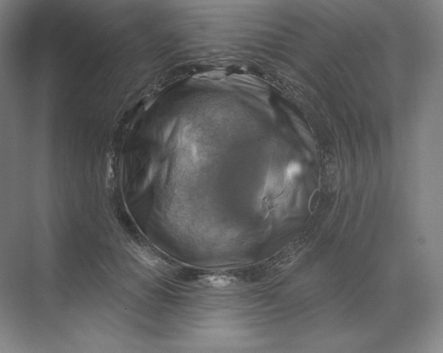 X0000068820654200605191834