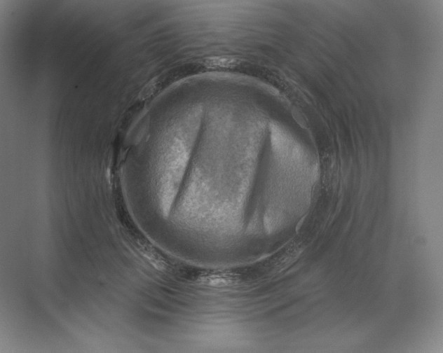 X0000068820655200605191834