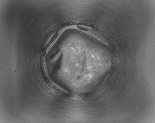 X0000068820656200605191834