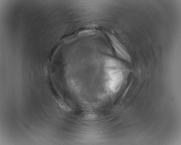 X0000068820658200605191834