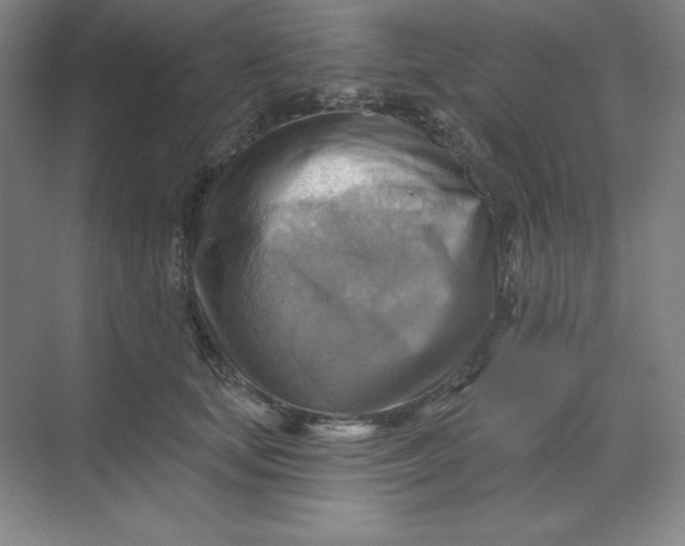 X0000068820659200605191834