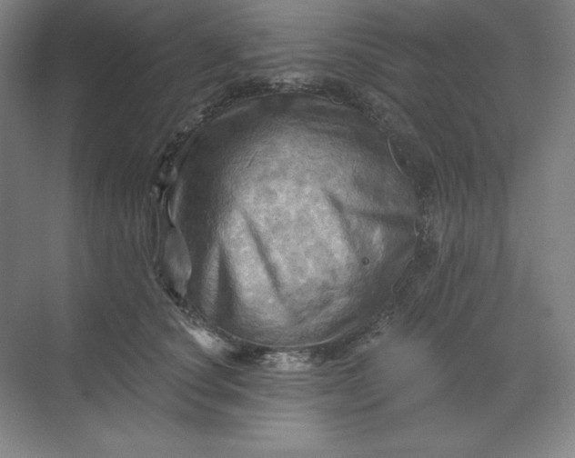 X0000068820660200605191834