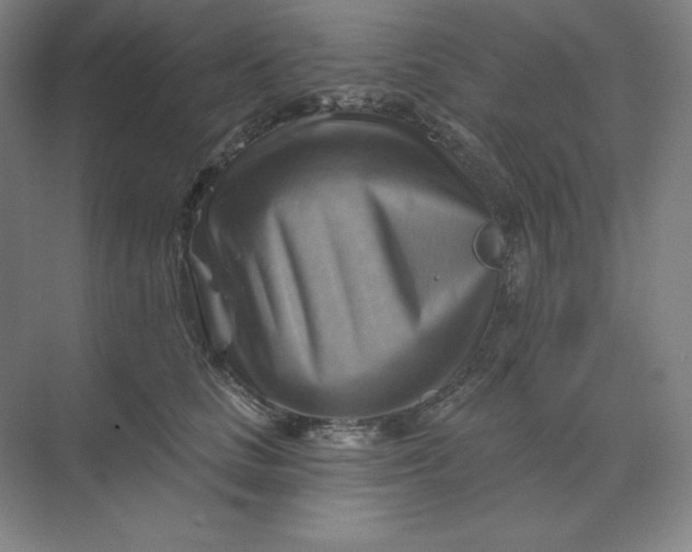 X0000068820661200605191834