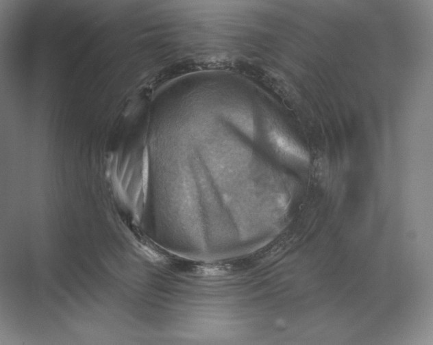 X0000068820662200605191834