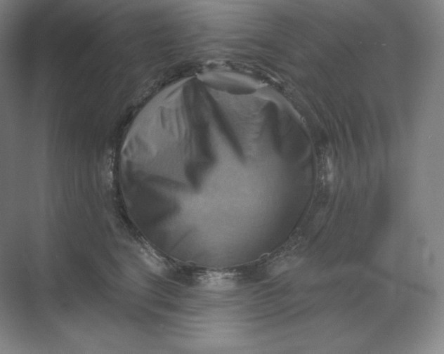 X0000068820664200605191834