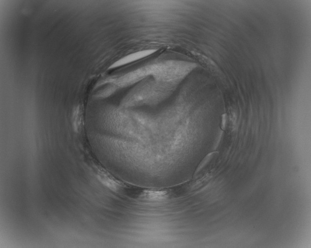 X0000068820665200605191834