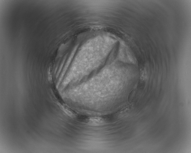 X0000068820666200605191834