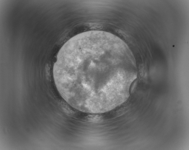 X0000068820667200605191834