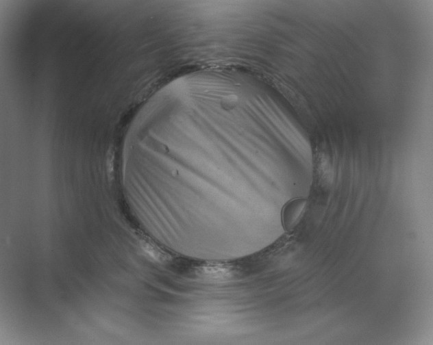 X0000068820668200605191834