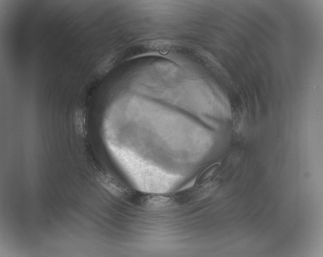 X0000068820669200605191834