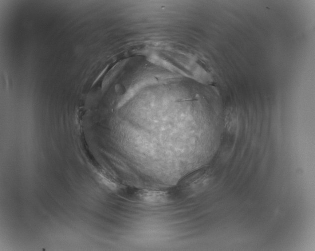 X0000068820670200605191834