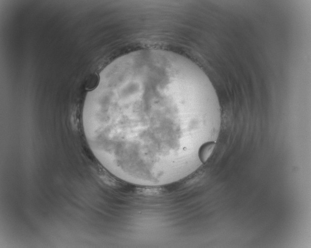 X0000068820671200605191835