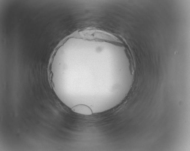 X0000068820672200605191835