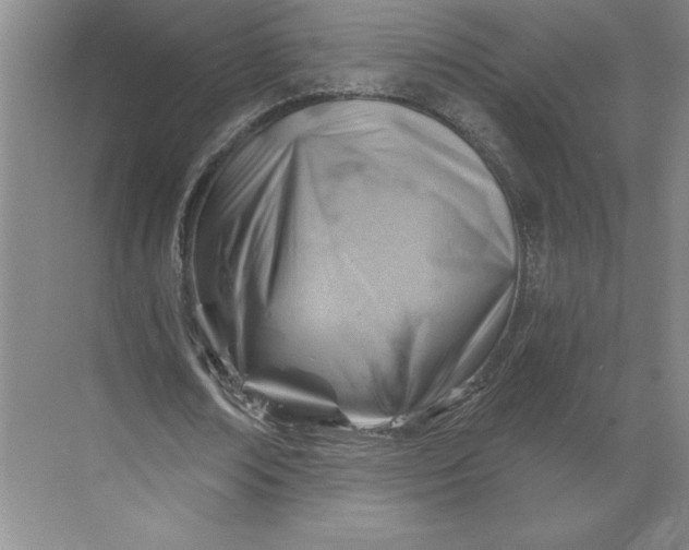 X0000068820674200605191834