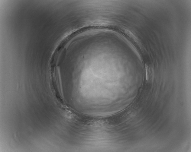 X0000068820675200605191834