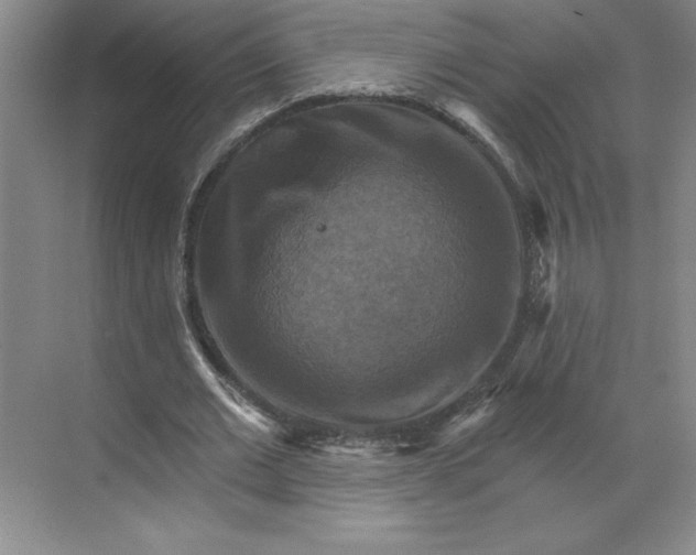 X0000068820677200605191834