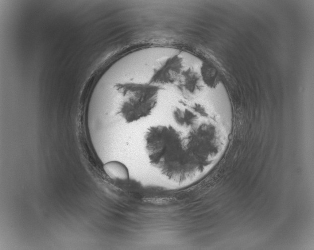 X0000068820679200605191834