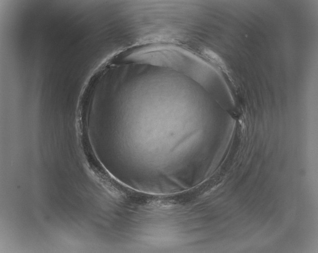 X0000068820680200605191834