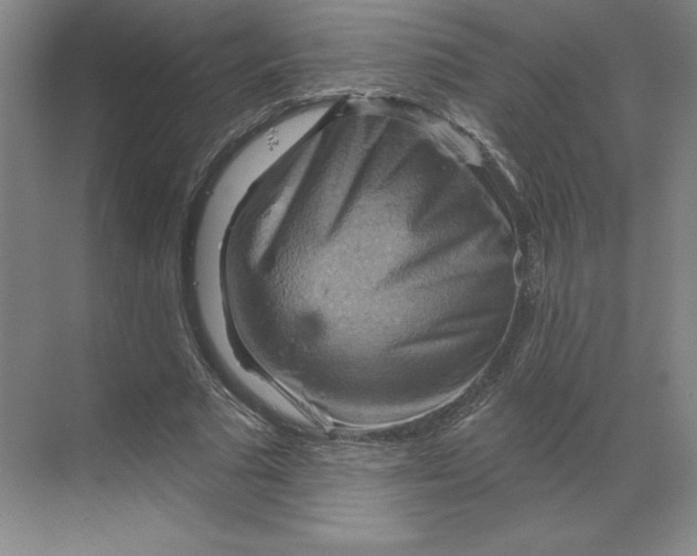 X0000068820681200605191834