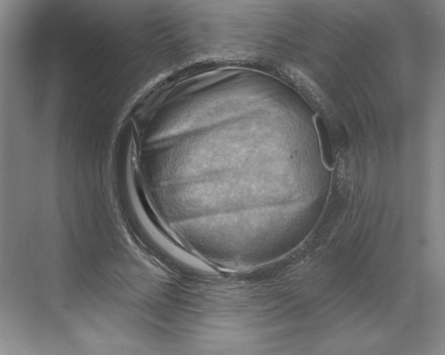 X0000068820684200605191834