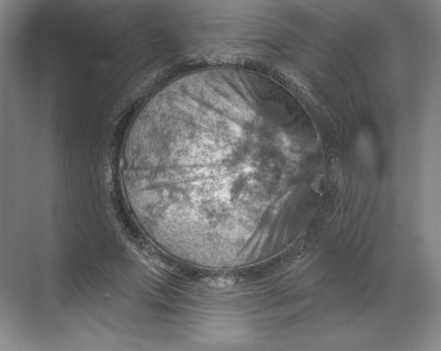 X0000068820687200605191833