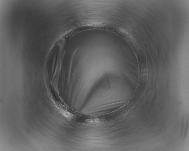 X0000068820688200605191833